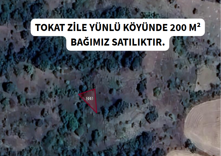 TOKAT ZİLE YÜNLÜ  KÖYÜNDE  200  M² BAĞ  SATILIKTIR - TOKAT ZİLE fotoğraf 6